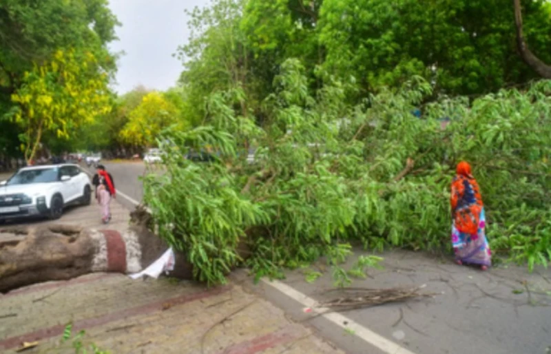 111-people-died-in-northern-india-due-to-extremely-severe-storm-conditions