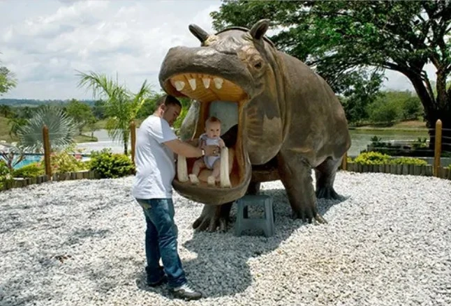 colombias-hippo-population-has-increased-because-of-escobar