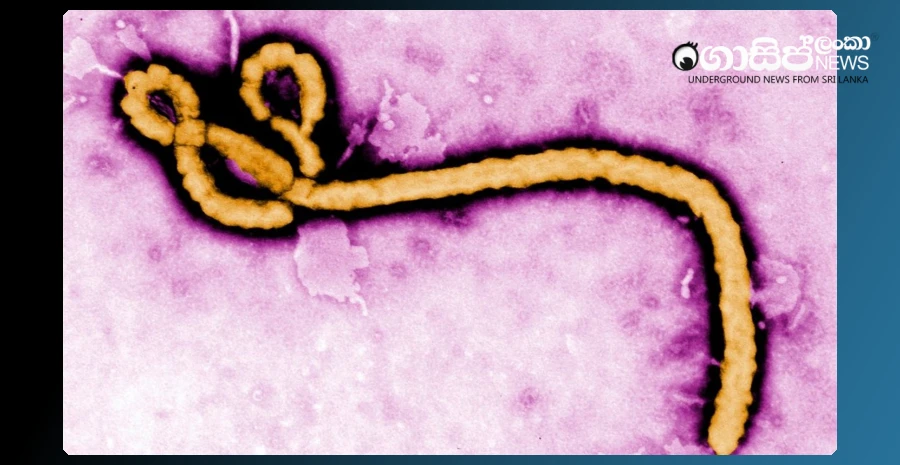 who-declares-ebola-emergency
