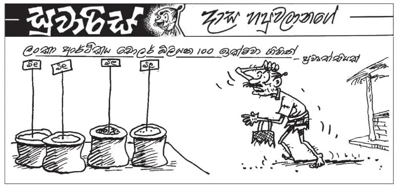 gossiplanka image 6
