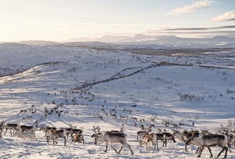 indigenous-people-protest-in-northern-norway-over-a-copper-mine