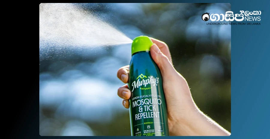 spray-liquid-makes-mosquitoes-come-back-instead-of-fleeing---research-reveals