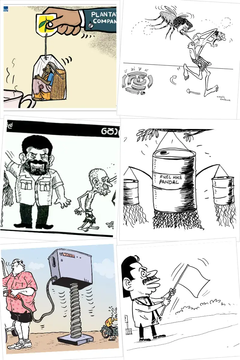 gossiplanka collage