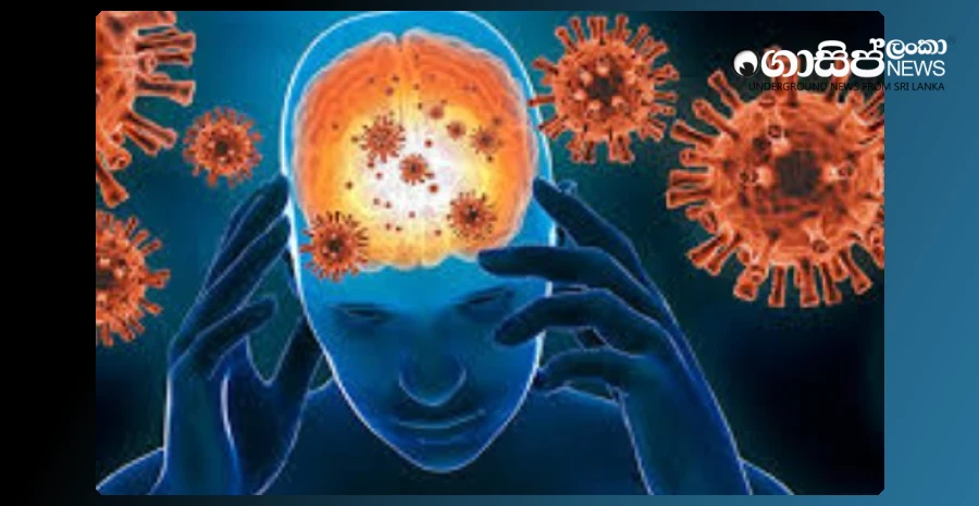 meningitis-cases-rise-to-237