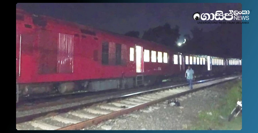 an-investigation-into-the-jungle-kumari-that-crashed-in-the-meenagaya-train