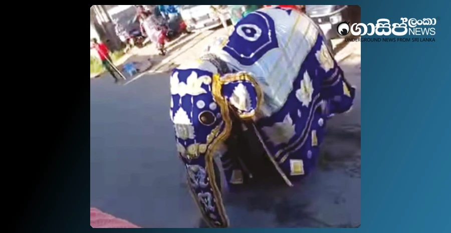 an-uproar-because-of-arjuna-who-was-kulappu