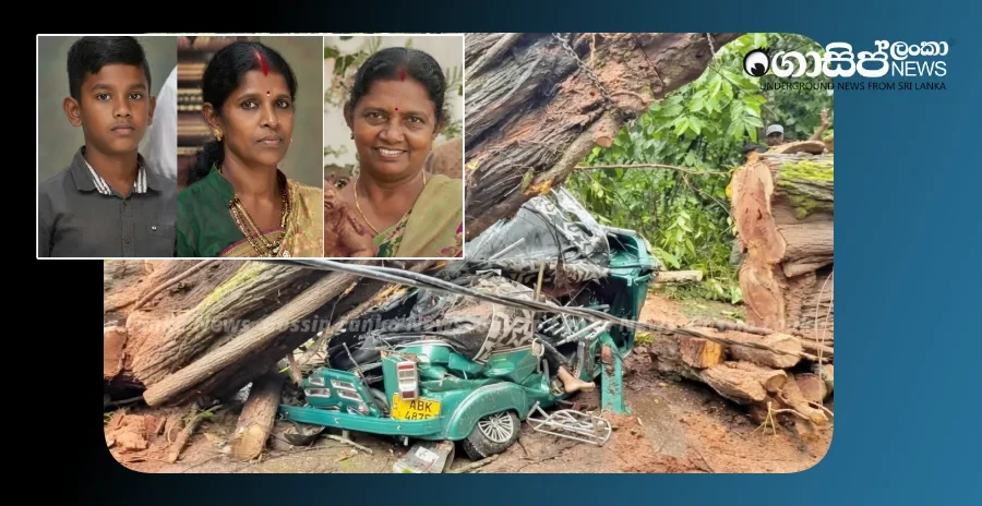 the-story-behind-the-incident-where-a-tree-fell-on-a-three-wheeler-and-killed-three-people