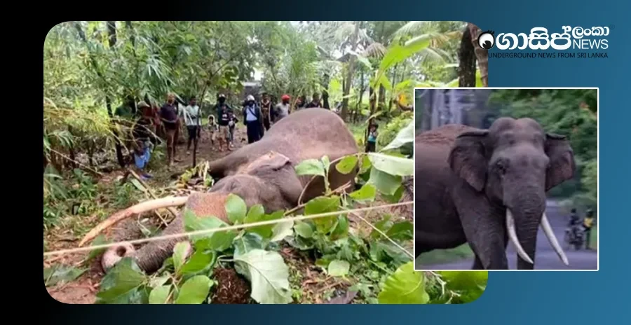 digha-dantus-high-voltage-electrocution-death-for-the-first-time-in-history-under-public-property-act