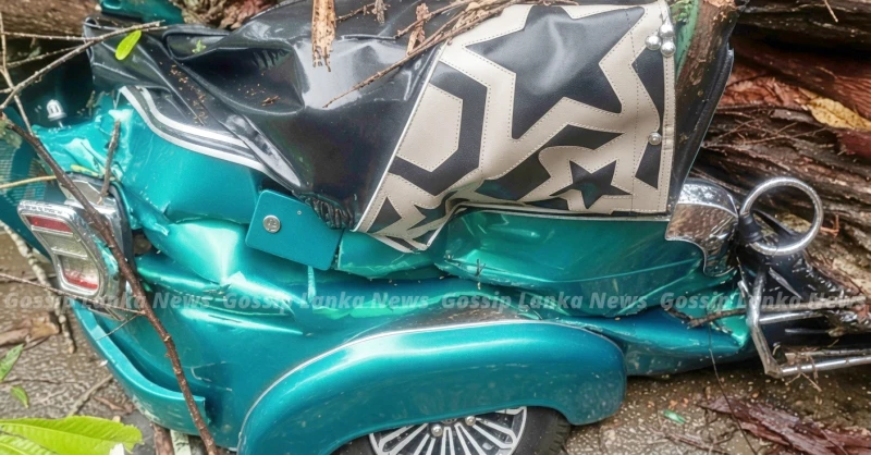 the-story-behind-the-incident-where-a-tree-fell-on-a-three-wheeler-and-killed-three-people