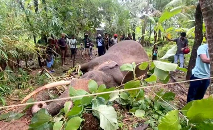 digha-dantus-high-voltage-electrocution-death-for-the-first-time-in-history-under-public-property-act