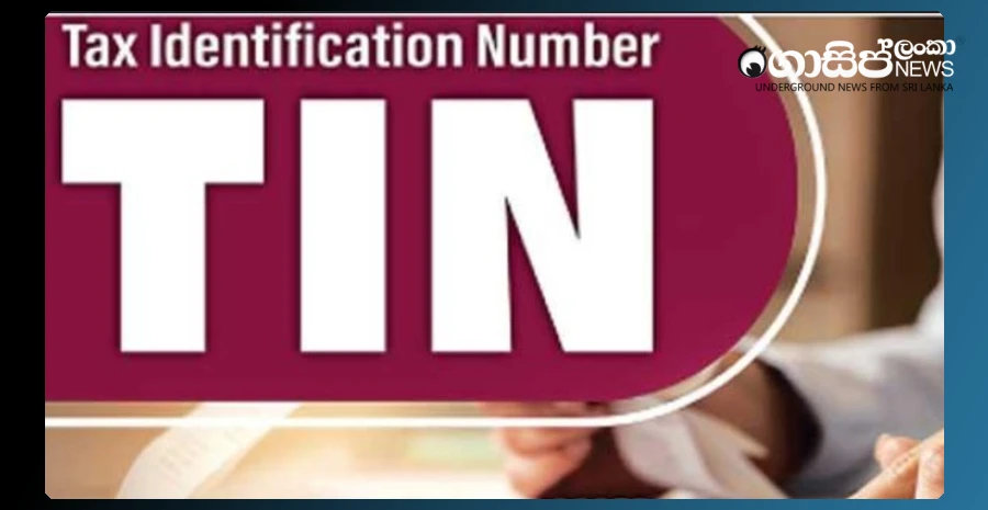 04-million-still-do-not-have-tin-numbers