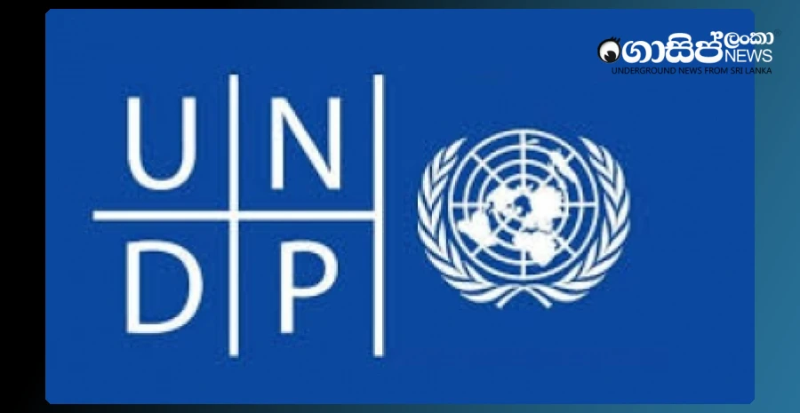 undp-suggests-to-the-government-that-the-carbon-market-policies-should-be-formalized-in-order-to-attract-private-investments