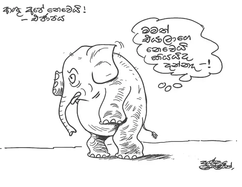gossiplanka image 17