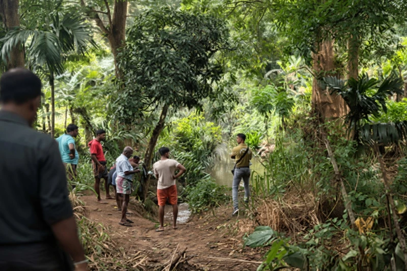two-people-were-killed-after-being-attacked-by-an-elephant-brought-to-the-rakwana-temple-procession