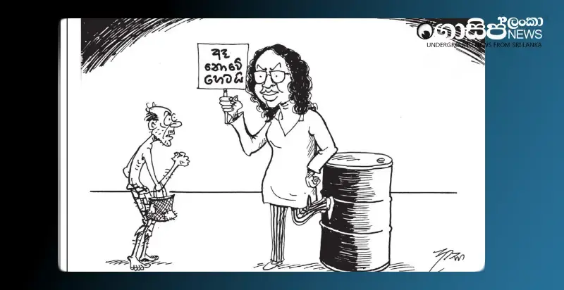 oil-price-no-change