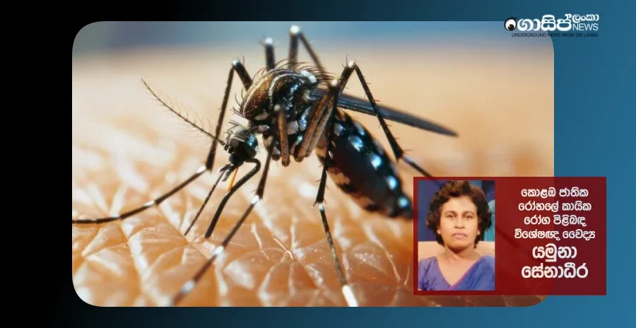 what-to-do-if-you-get-dengue