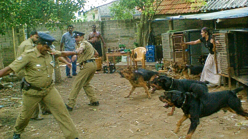 the-wife-brought-8-dogs-to-the-police-who-came-to-catch-the-drug-trafficking-husband
