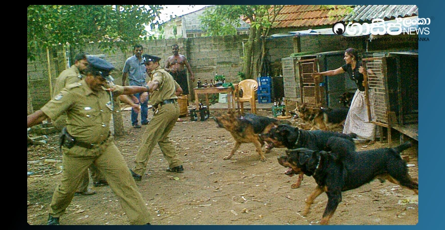 the-wife-brought-8-dogs-to-the-police-who-came-to-catch-the-drug-trafficking-husband