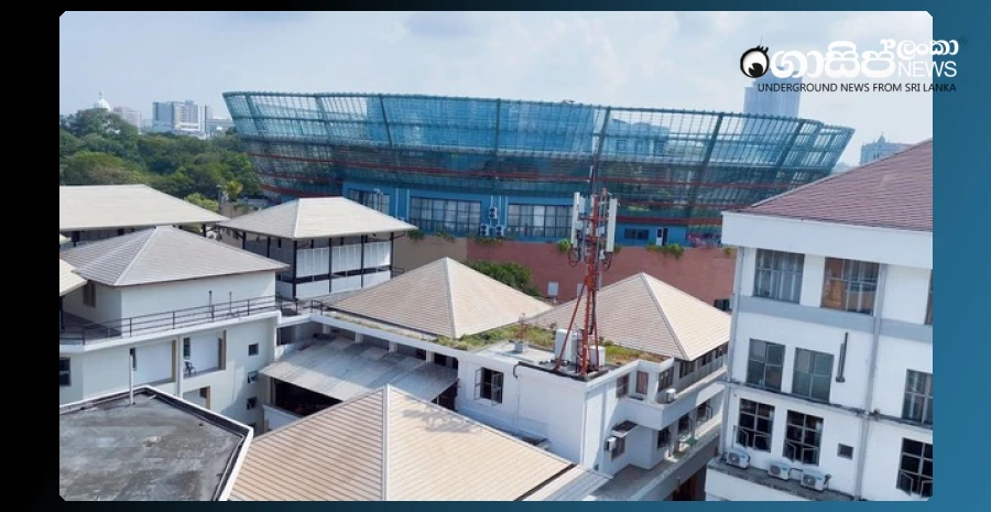colombo-university-of-fine-arts-closes-due-to-dengue