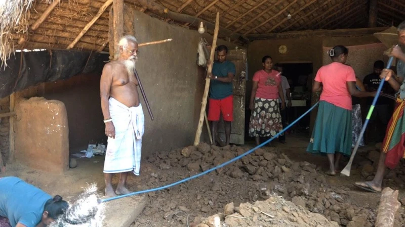 an-elephant-attack-on-the-house-of-the-owners-of-vannila