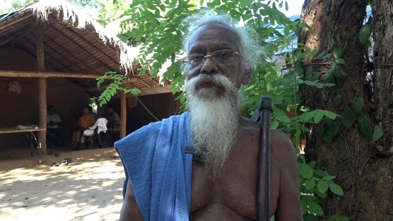 an-elephant-attack-on-the-house-of-the-owners-of-vannila