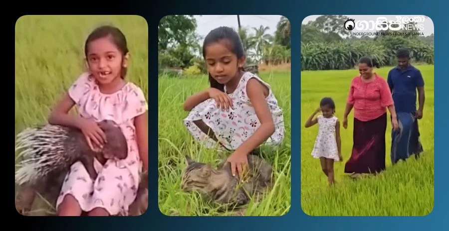 the-story-of-the-girl-who-goes-with-itteava the-story-of-the-girl-who-goes-with-itteava