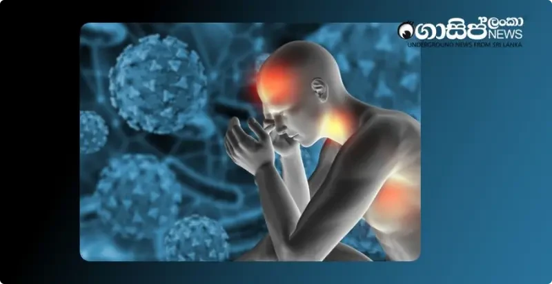 due-to-dengue-there-is-a-huge-risk-of-being-killed-in-the-leaves