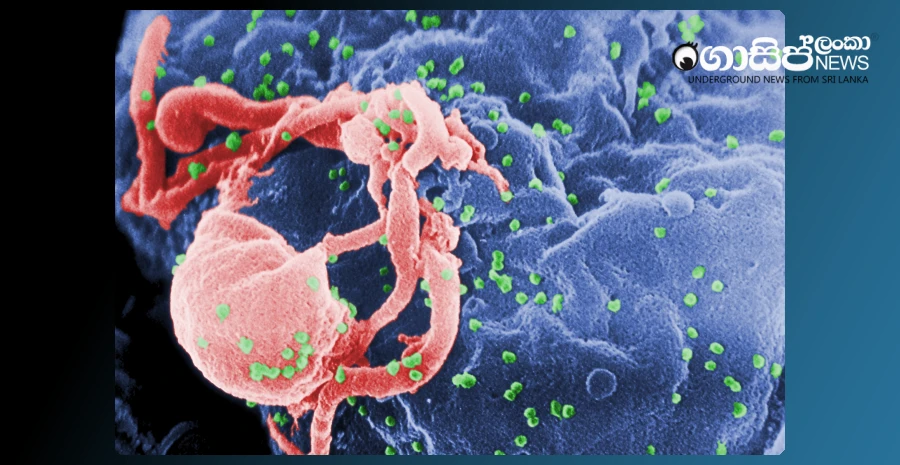 hiv-infected-people-have-increased-in-colombo-and-gampaha-districts