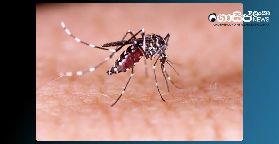 dengue-gets-worse---1284-yesterday-alone