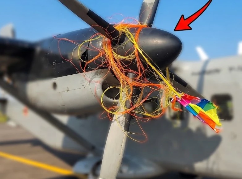 a-request-from-the-air-force-not-to-fly-kites-in-those-areas-after-an-airplane-entangled-with-kites-in-ratmalana