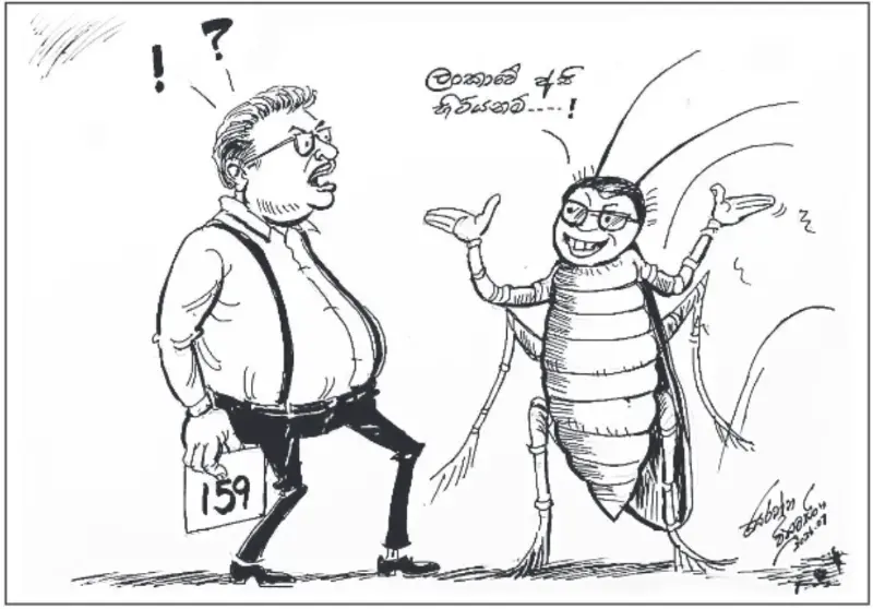gossiplanka image 13