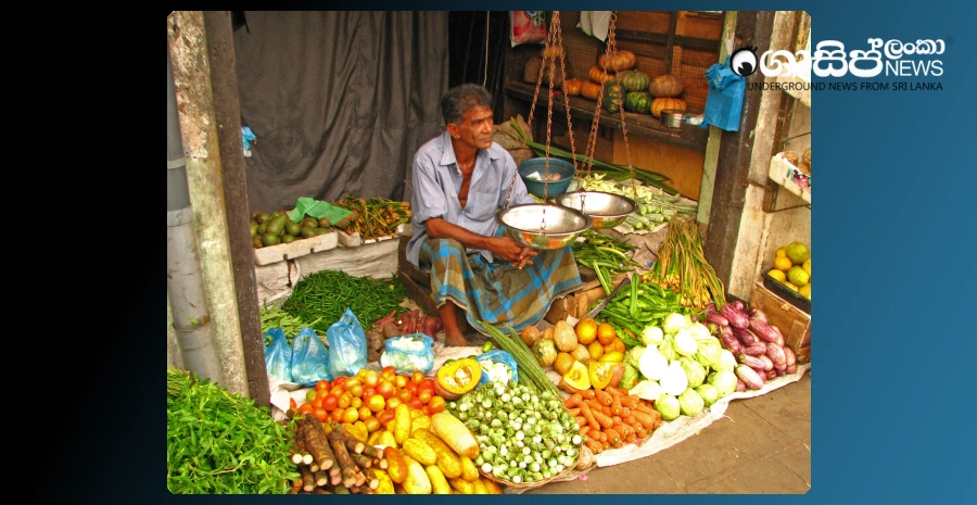 there-is-a-severe-shortage-of-vegetables-in-the-future