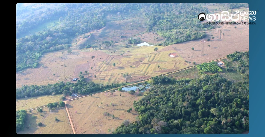 ruins-of-an-ancient-settlement-are-found-in-the-southwestern-amazon-region