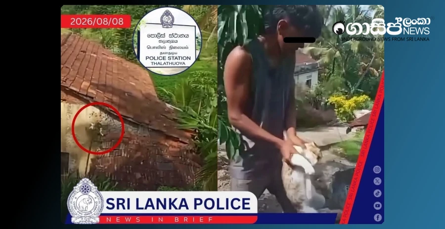 two-arrested-for-abusing-a-cat-causing-a-social-media-controversy