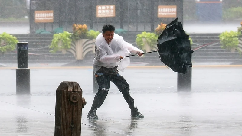 cyclone-dolphin-devastates-china