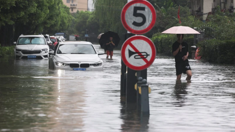 cyclone-dolphin-devastates-china