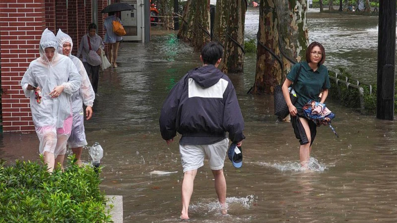 cyclone-dolphin-devastates-china