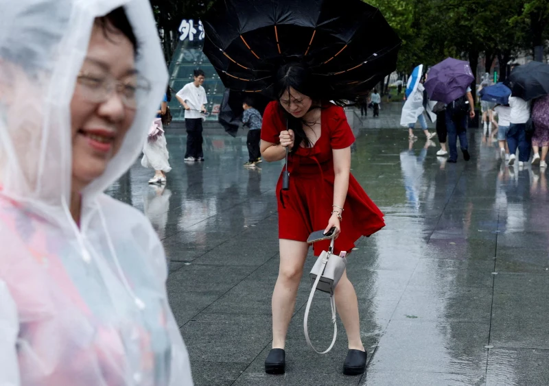 cyclone-dolphin-devastates-china