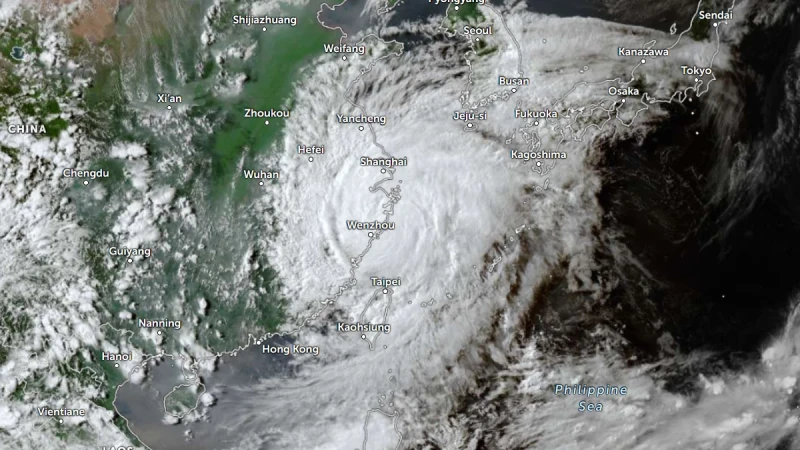 cyclone-dolphin-devastates-china