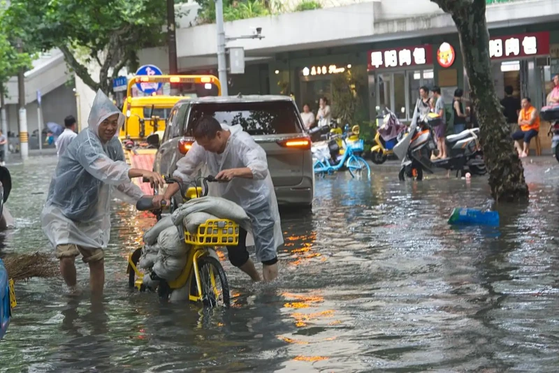 cyclone-dolphin-devastates-china