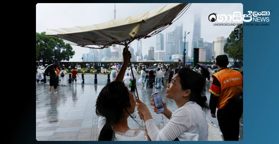 cyclone-dolphin-devastates-china