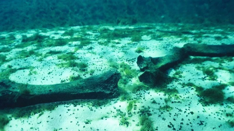 the-worlds-largest-and-deepest-cemeteries-of-whales-are-found-in-the-indian-ocean
