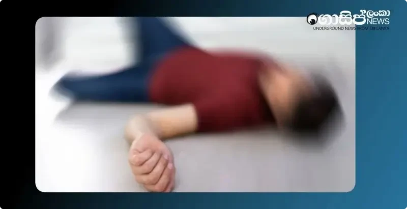 a-person-died-after-falling-from-ayagama-aranya-senasana-cliff