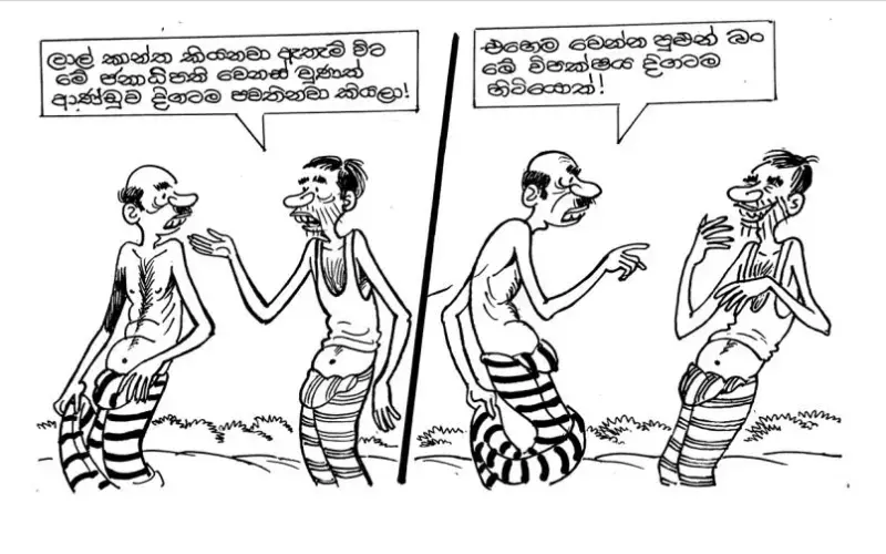 gossiplanka image 16