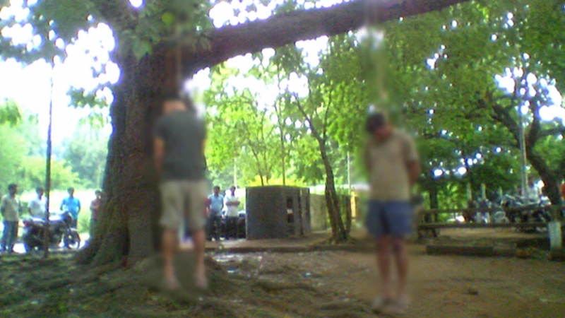 two-white-men-are-hanging-from-a-kohomba-tree-in-the-courtyard-of-the-matara-temple