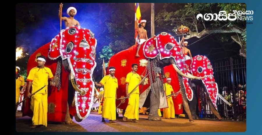 new-gazette-to-legalize-providing-elephants-for-processions-soon