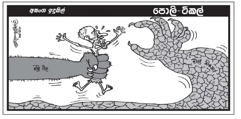 gossiplanka image 7
