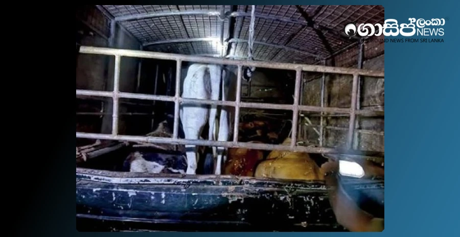 father-and-sons-caught-stealing-cattle