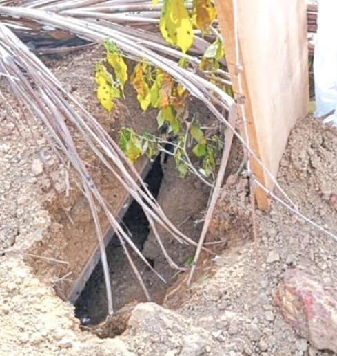 the-grave-of-asman-who-died-in-the-prison-clash-has-been-dug