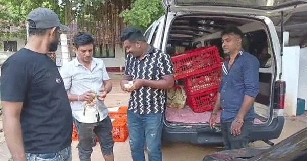 pigeons-worth-crores-caught-in-kalpitiya